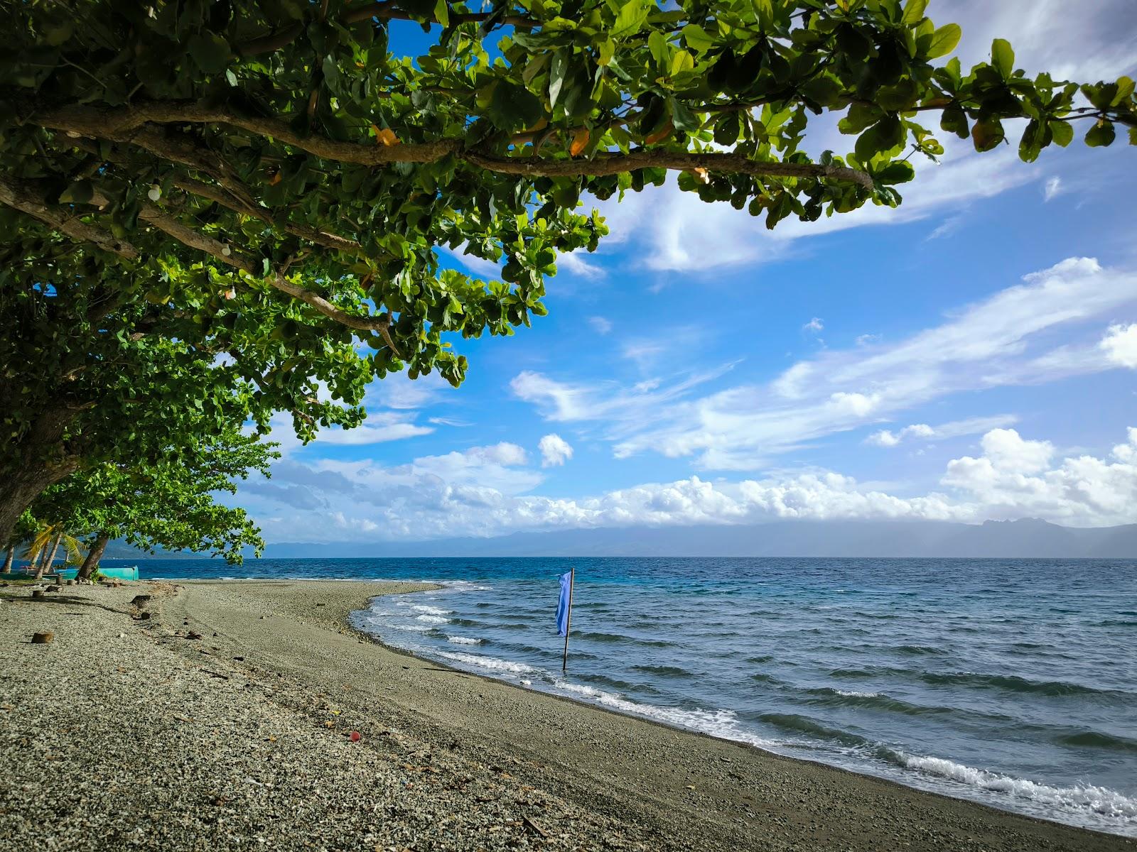 Sandee Wishy-Washy Beach Resort