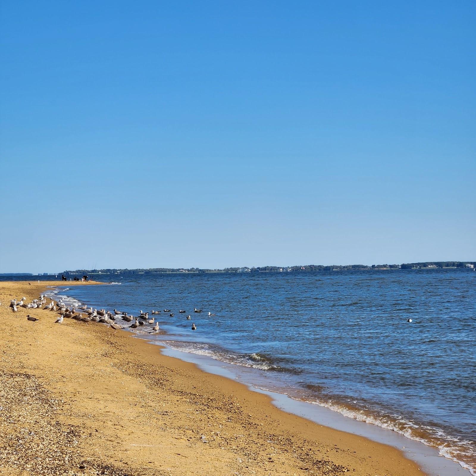 Sandee Sandy Point State Park Beach