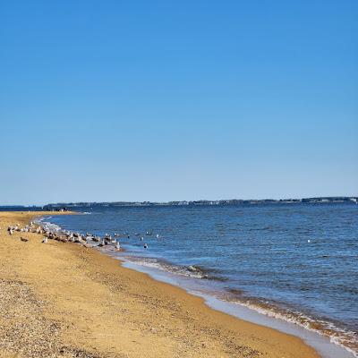 Sandee - Sandy Point Beach