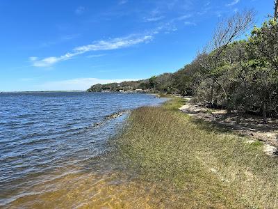 Sandee - Timucuan Ecological And Historical Preserve