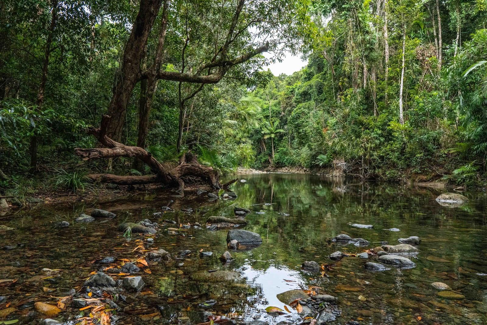 Sandee Emmagen Creek