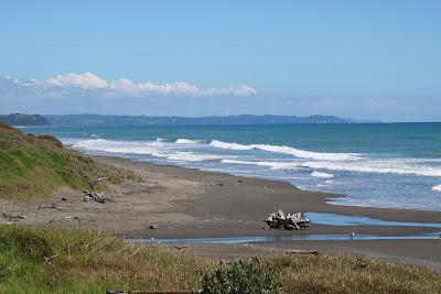 Sandee - Hikuwai Beach