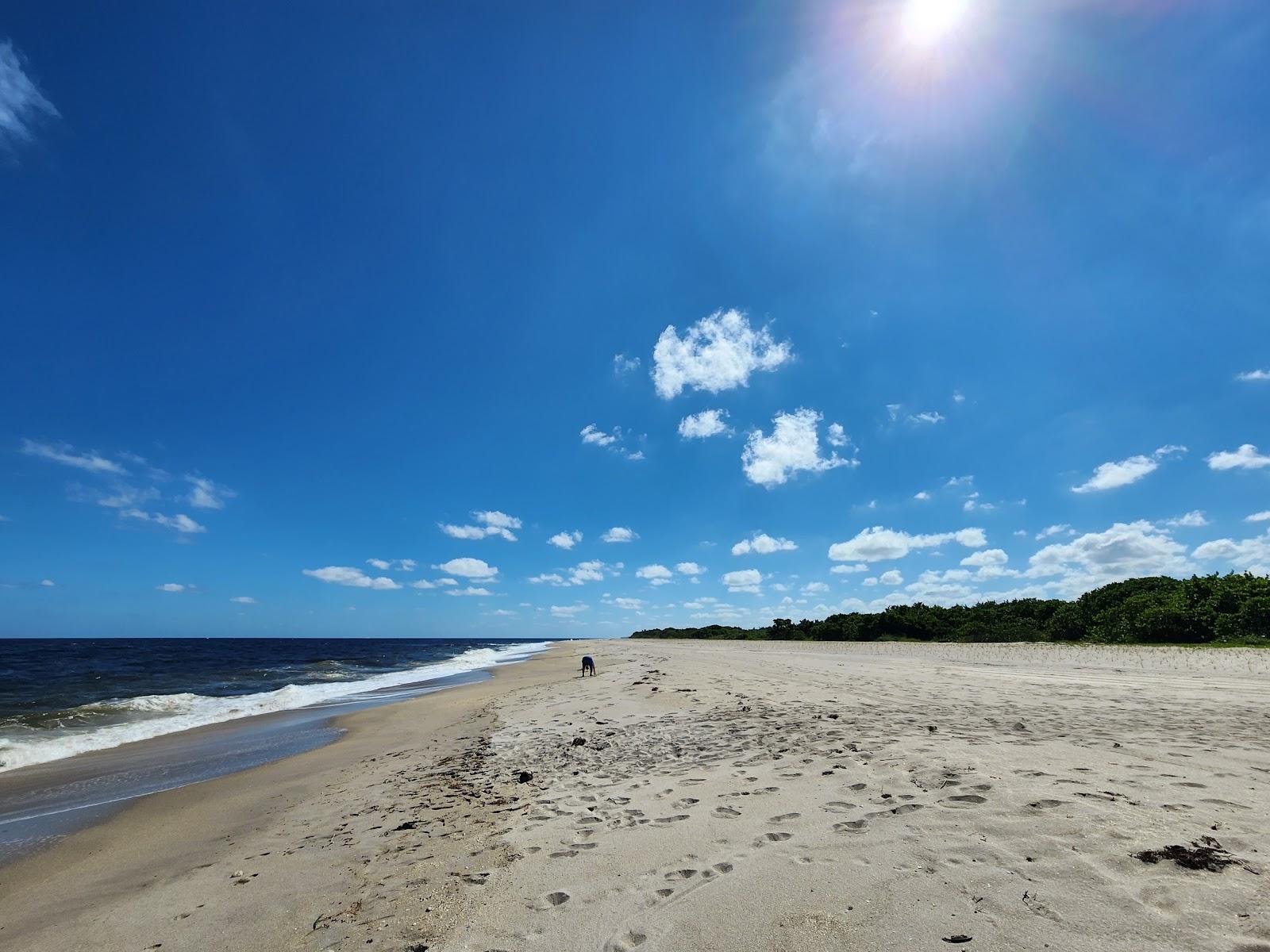 Sandee - St. Lucie Inlet Preserve State Park Beach