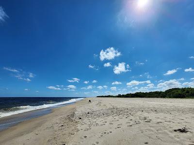 Sandee - St. Lucie Inlet Preserve State Park Beach