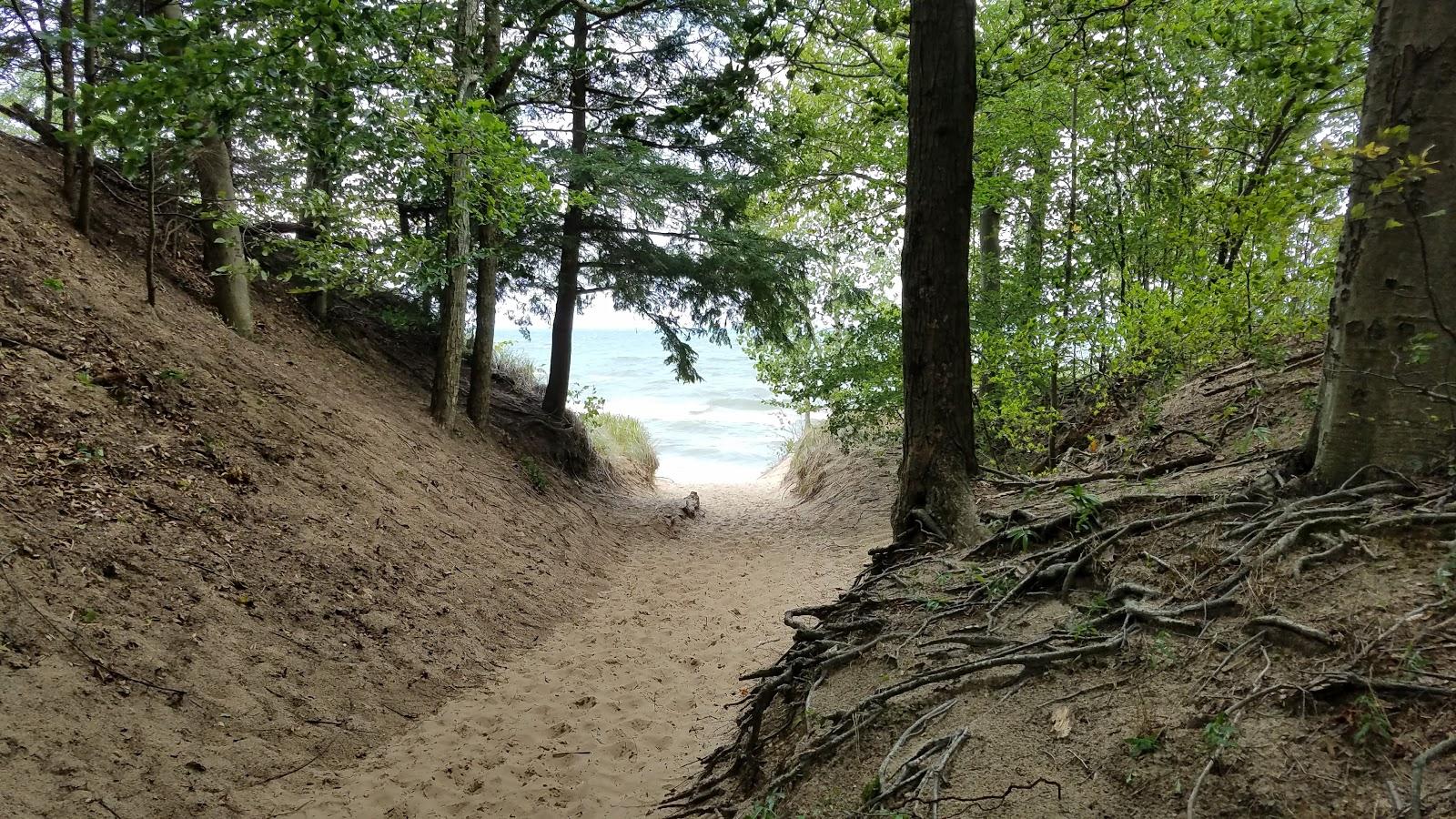 Sandee - Saugatuck Dunes State Park Shoreline Beach