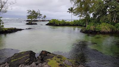 Sandee - Carlsmith Beach Park