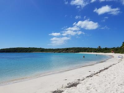 Sandee - Playa Pata Prieta