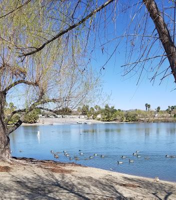 Sandee - Lake Elsinore Marina