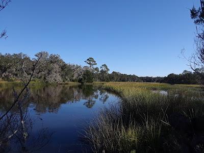 Sandee - Timucuan Ecological And Historical Preserve