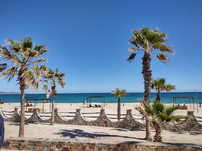 Sandee - Hotel Buenavista Beach