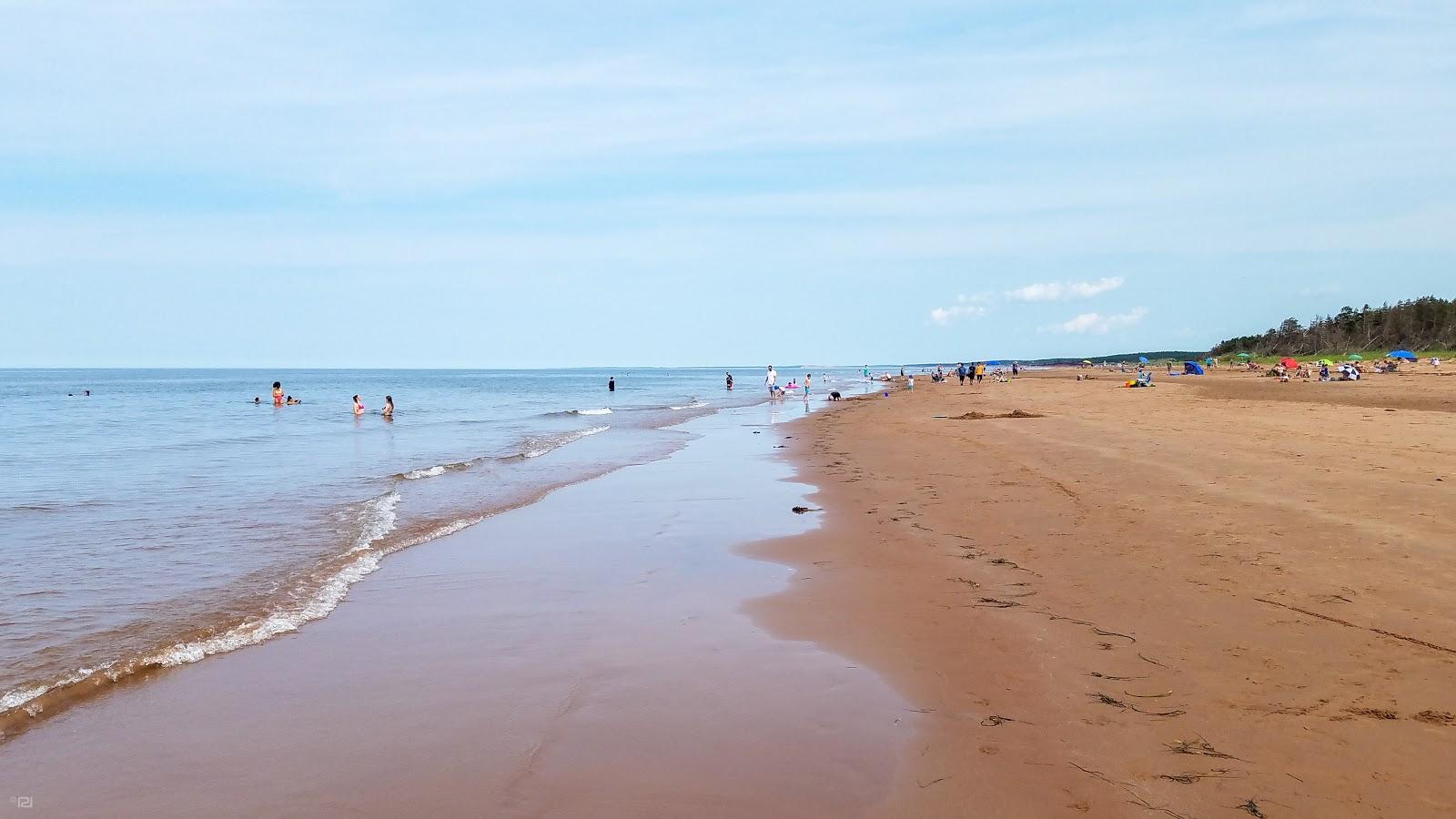 Sandee Stanhope Cape Beach Photo