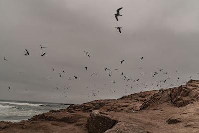 Sandee - Playa Los Lobos