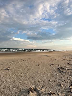 Sandee - Headys Beach