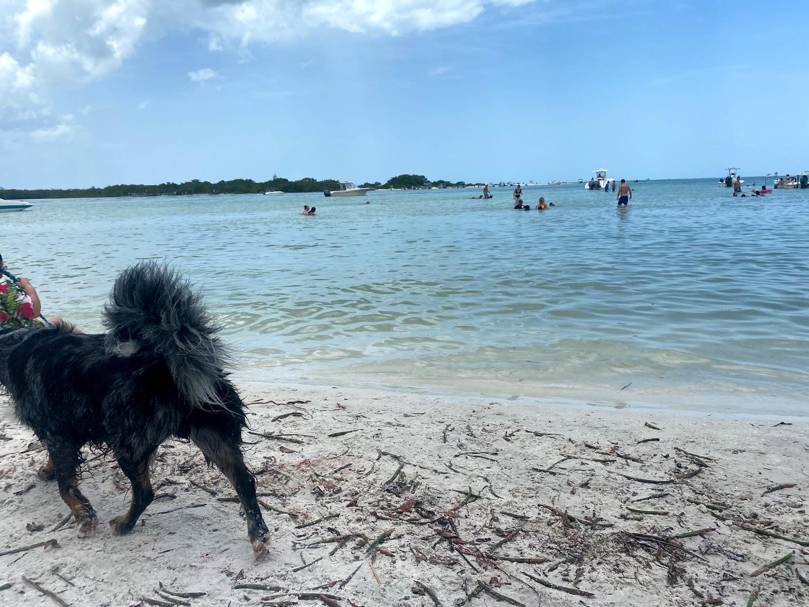 Sandee - Bonita Beach Dog Park