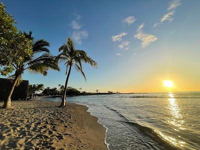 Sandee - Honokohau Bay Beach