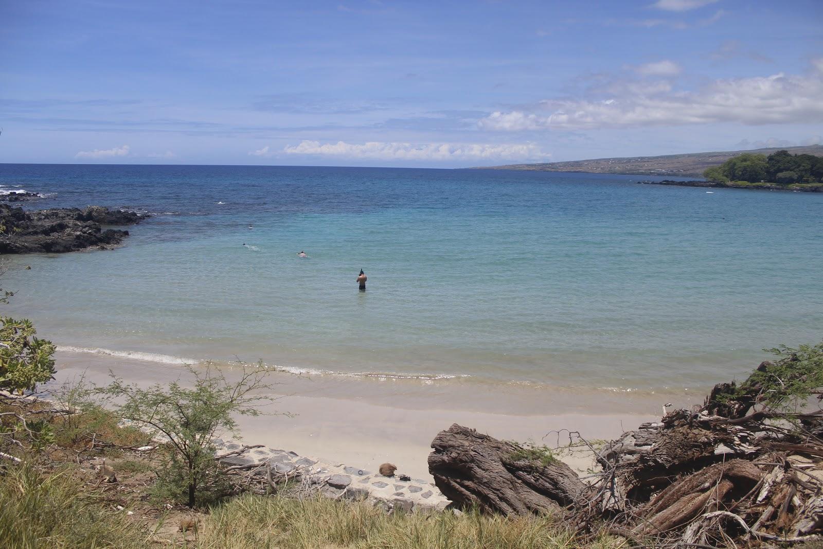 Sandee - Kaunaoa Beach