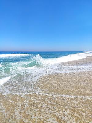 Sandee - Beach Torrao Do Lameiro