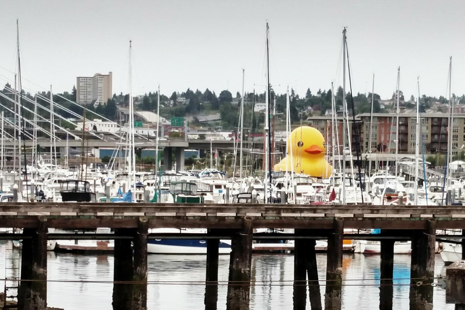 Sandee Delin Docks - Thea Foss City Marina