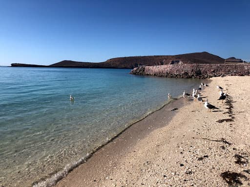 Sandee Playa Club Cantamar Photo