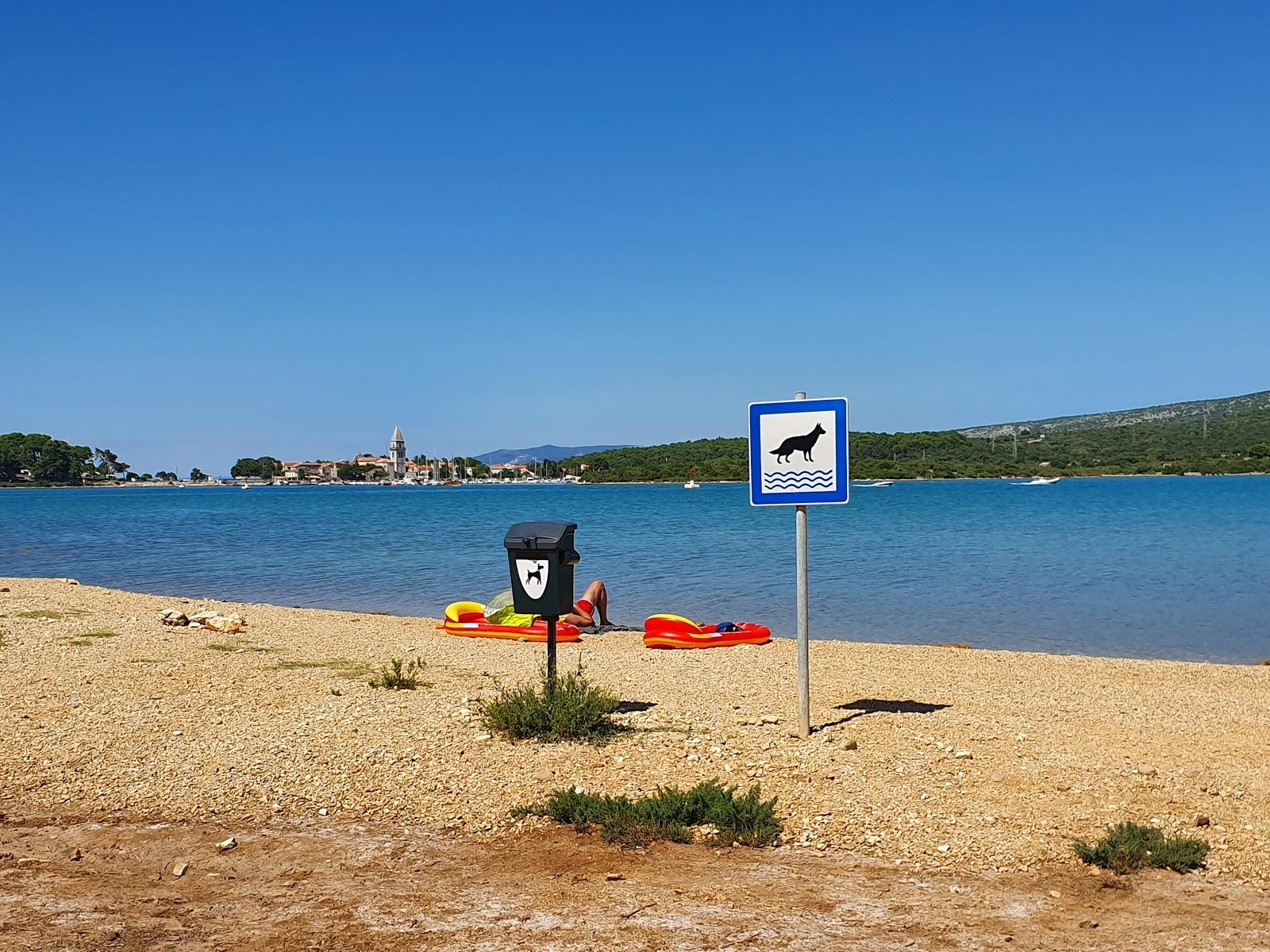 Sandee Dog Beach Lopari Photo