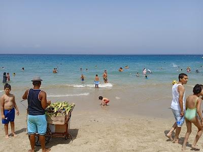 Sandee - Ain Dalia Beach