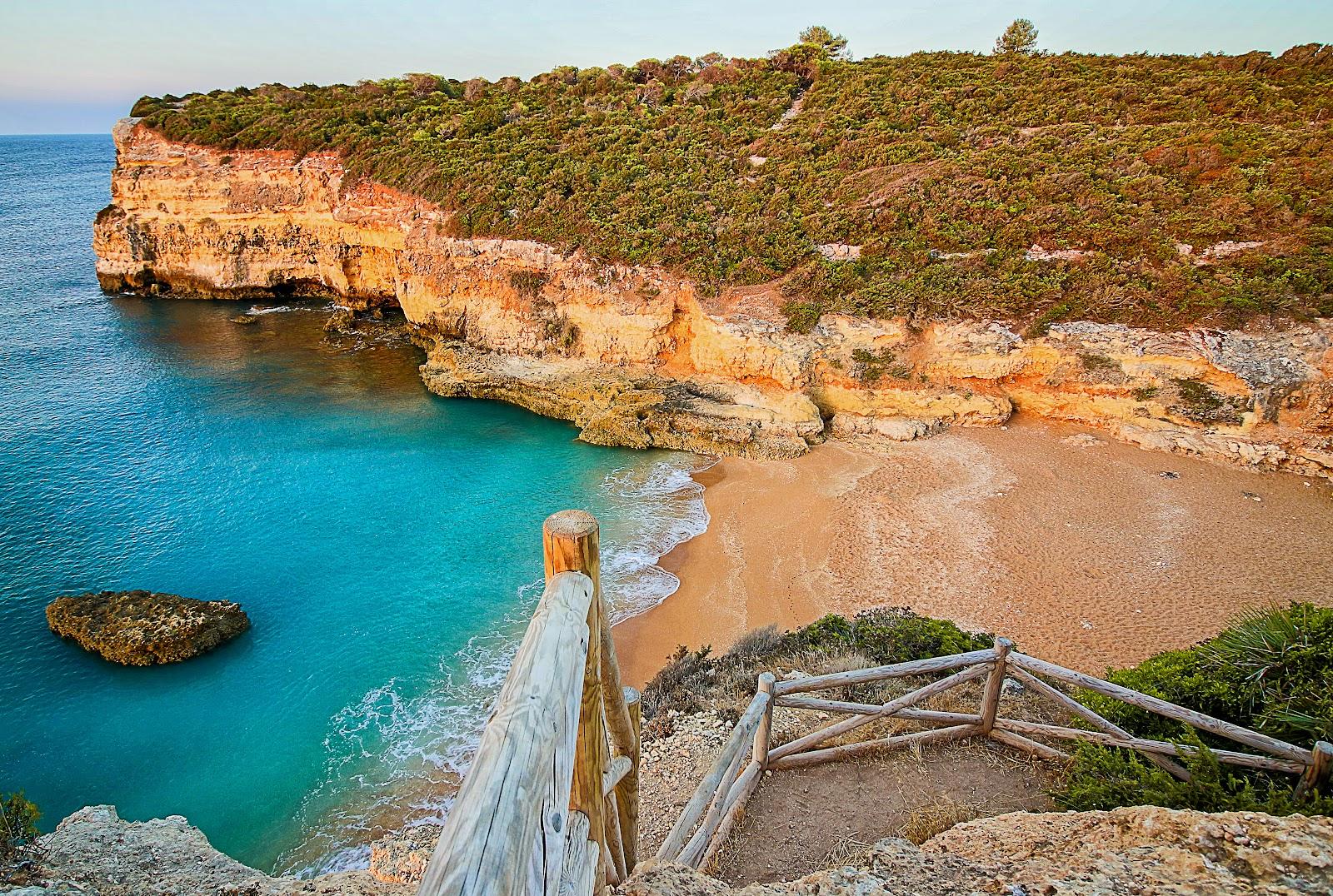 Sandee - Praia Do Barranco