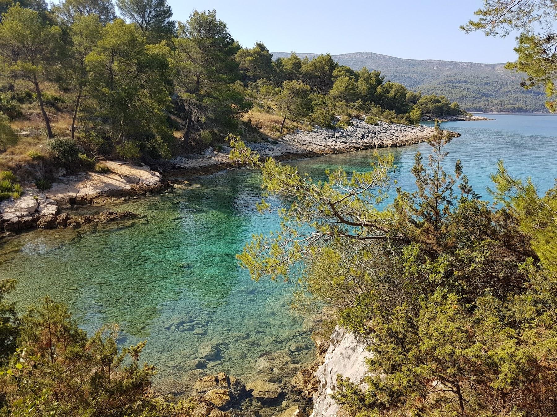 Sandee Brizenica Bay Photo