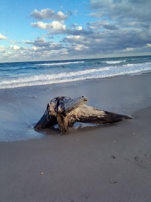 Sandee - Dollman Park Beachside