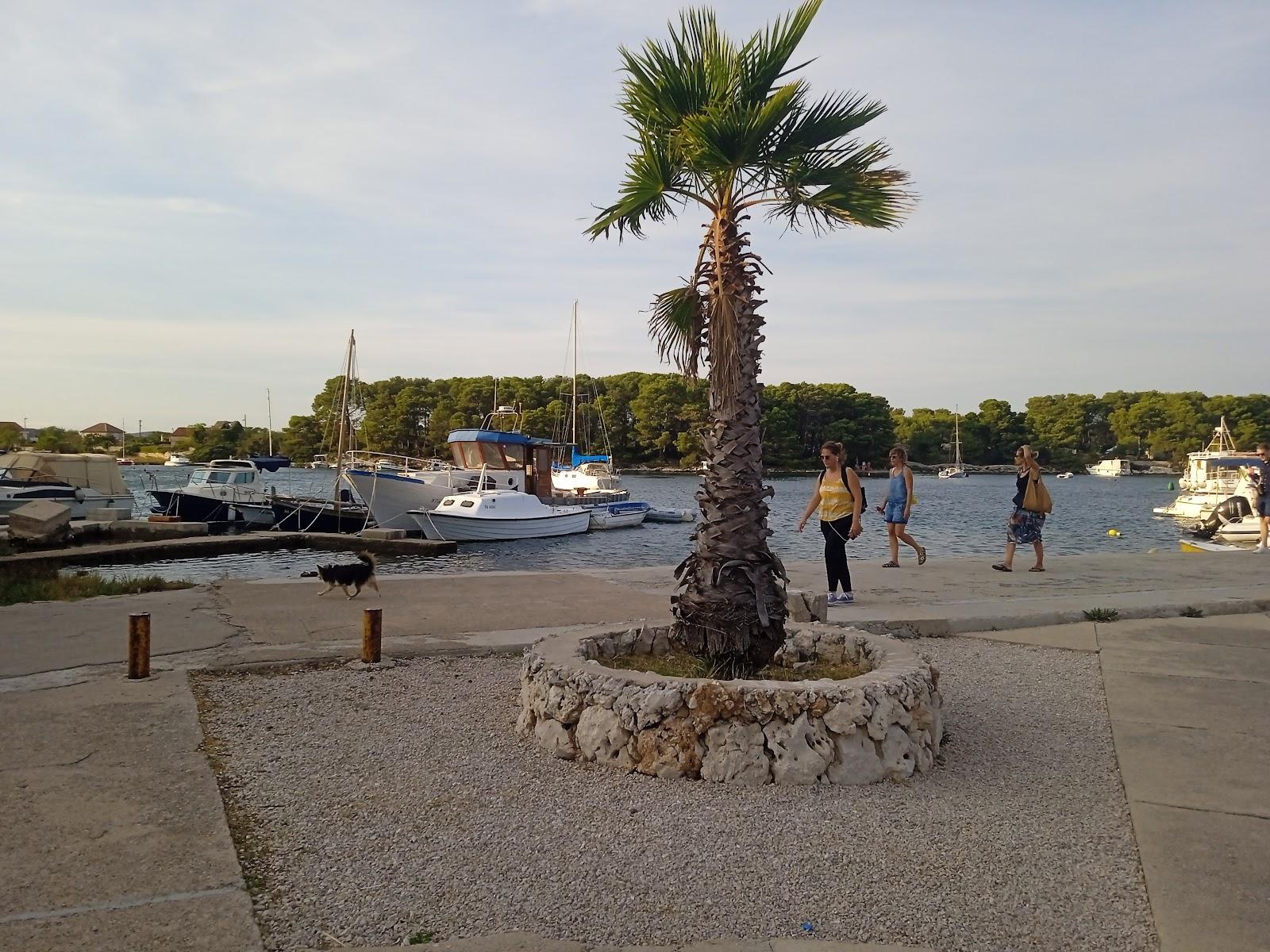Sandee Glavno Mulo Jadrija - Sibenik