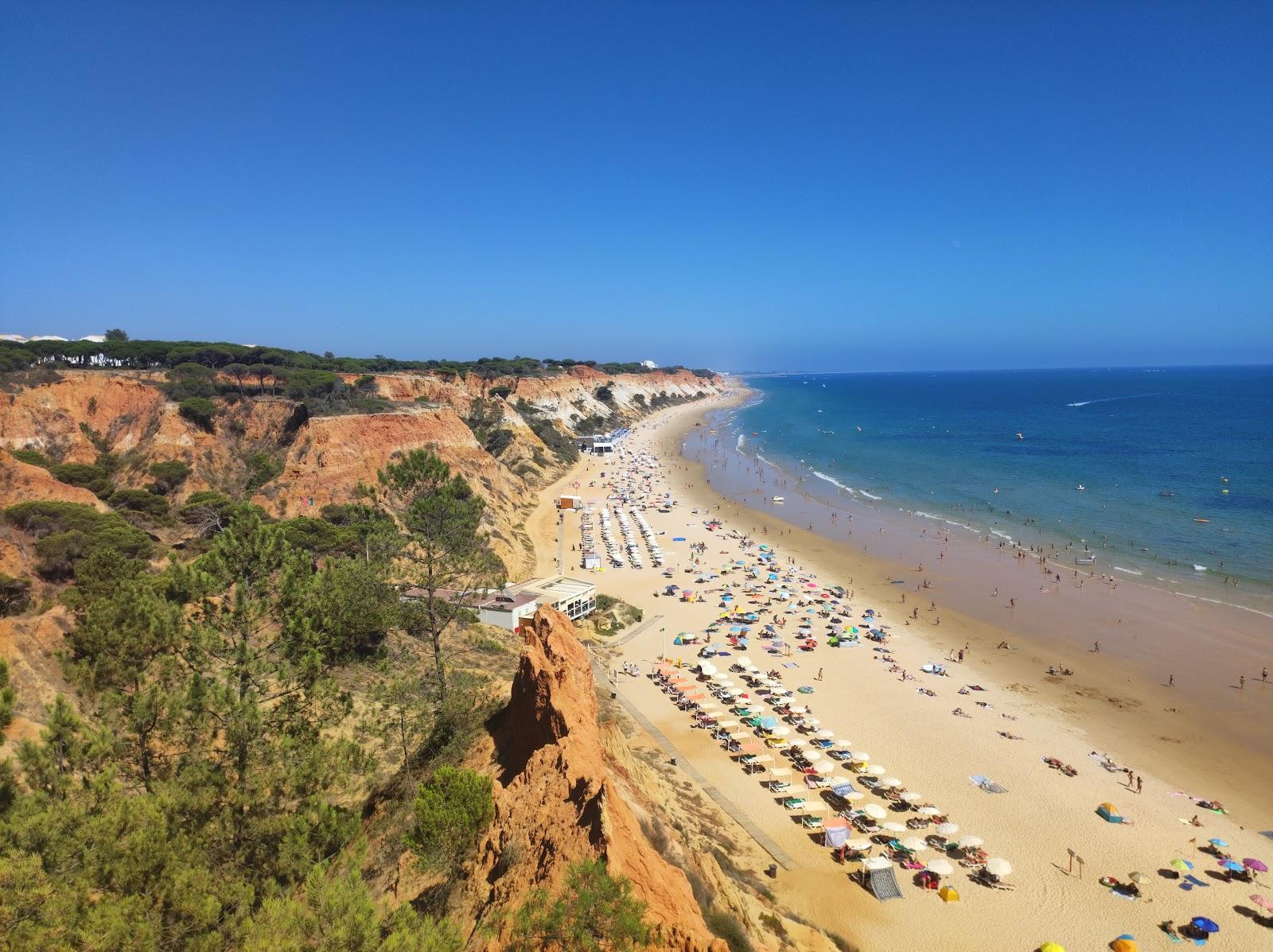 Sandee Praia Da Rocha Baixinha