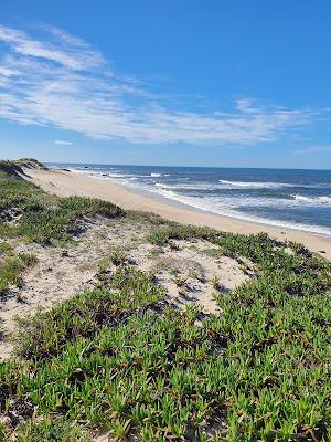 Sandee - Laderca Beach