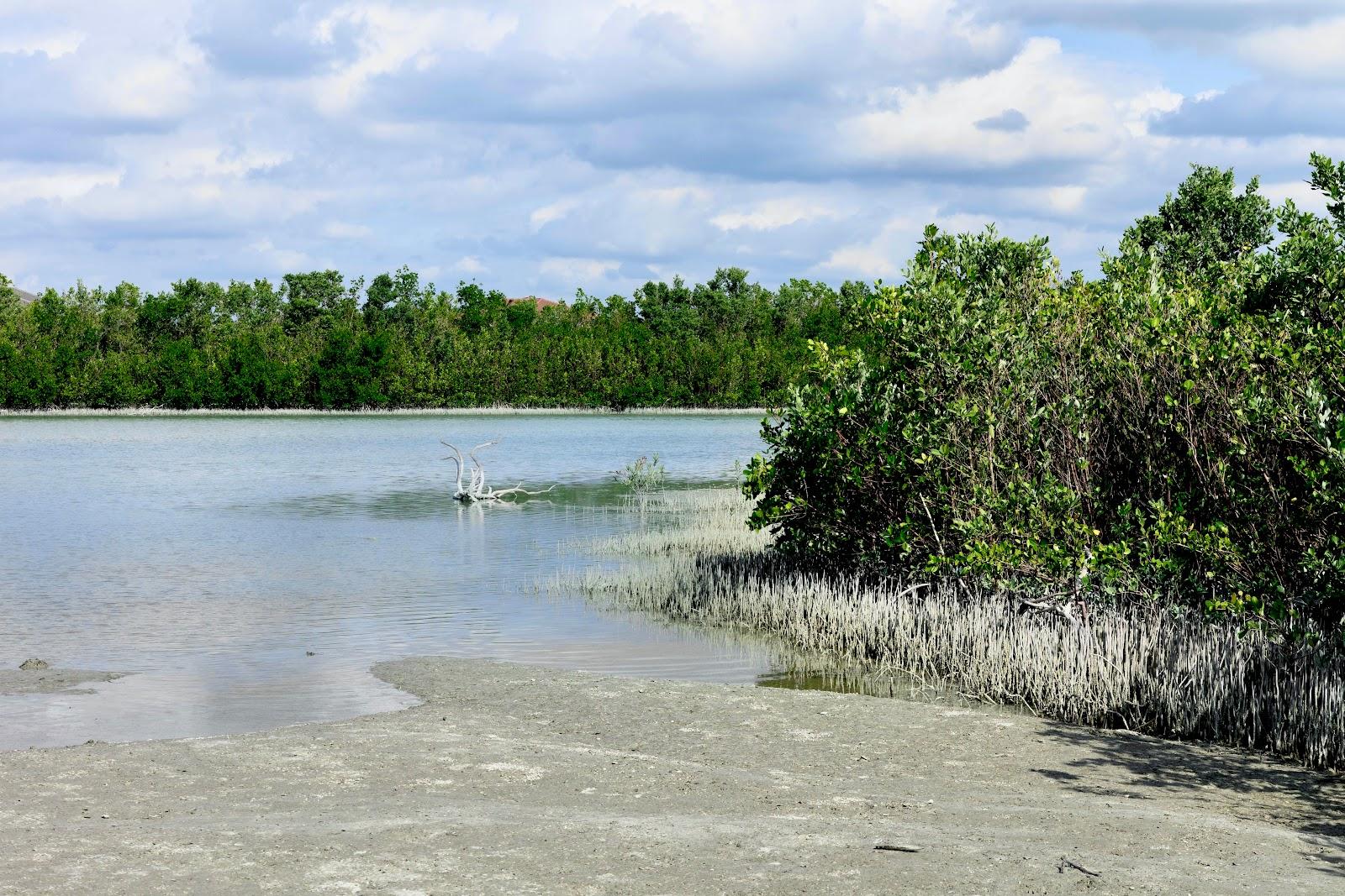 Sandee - Tigertail Beach