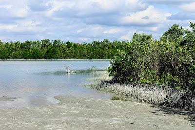 Sandee - Tigertail Beach