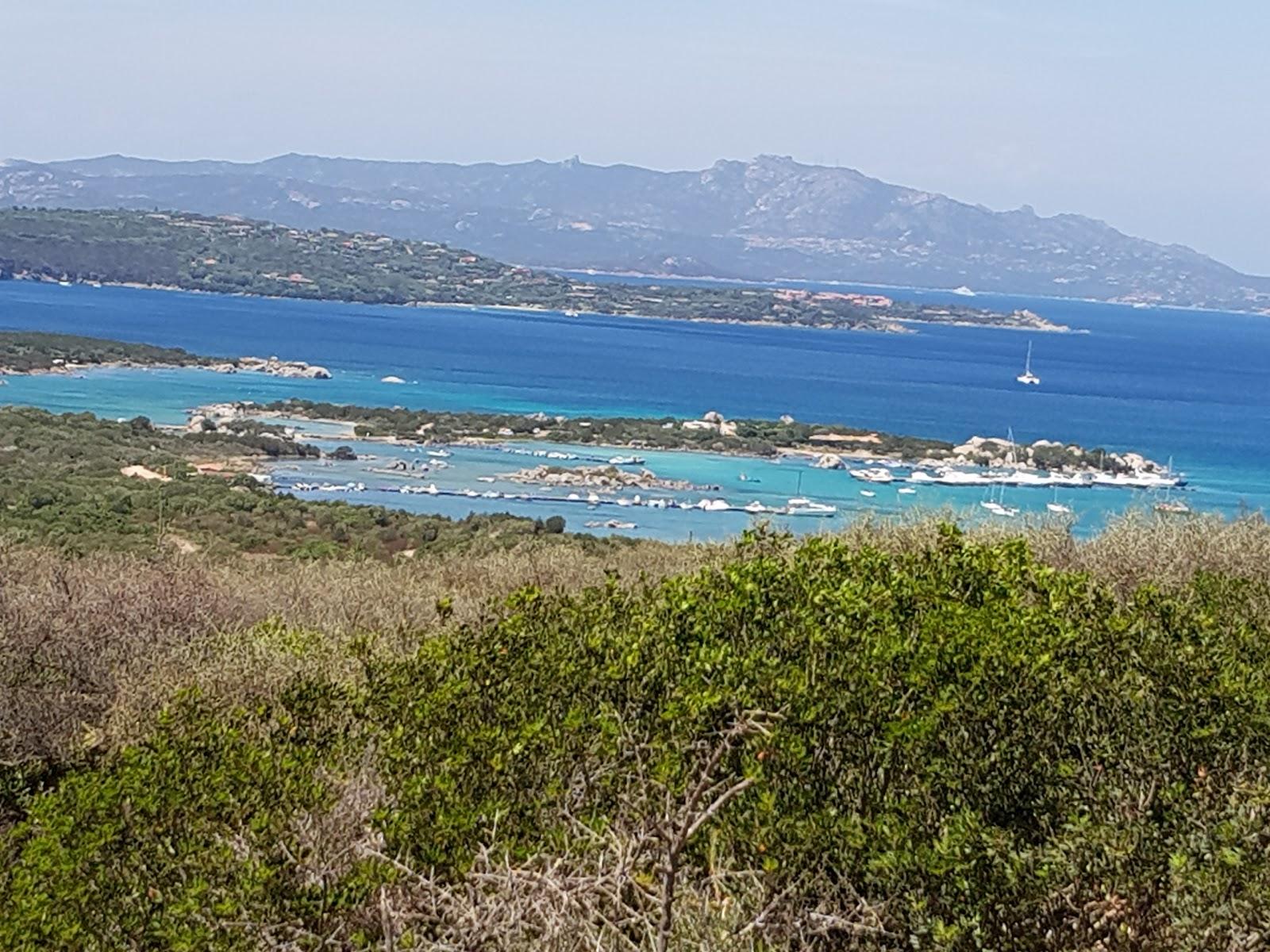 Sandee Spiaggia Dei Bambini