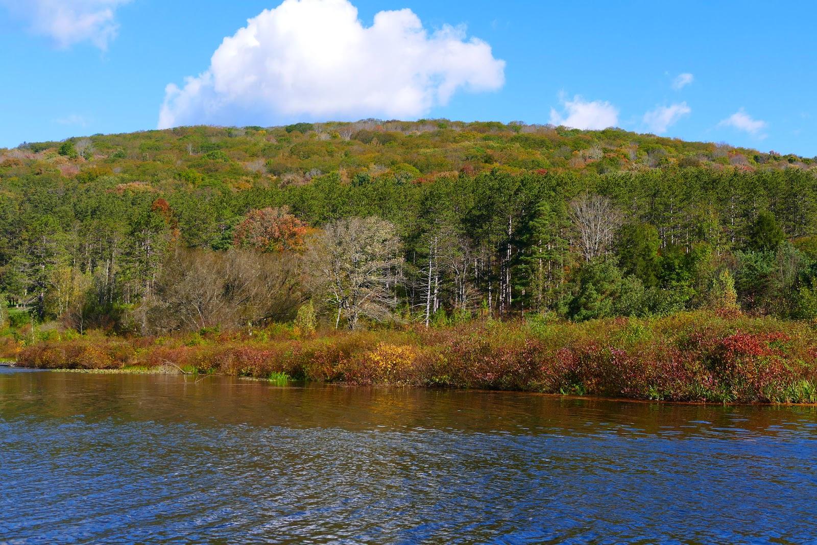 Sandee - Allegany State Park Beach Red House