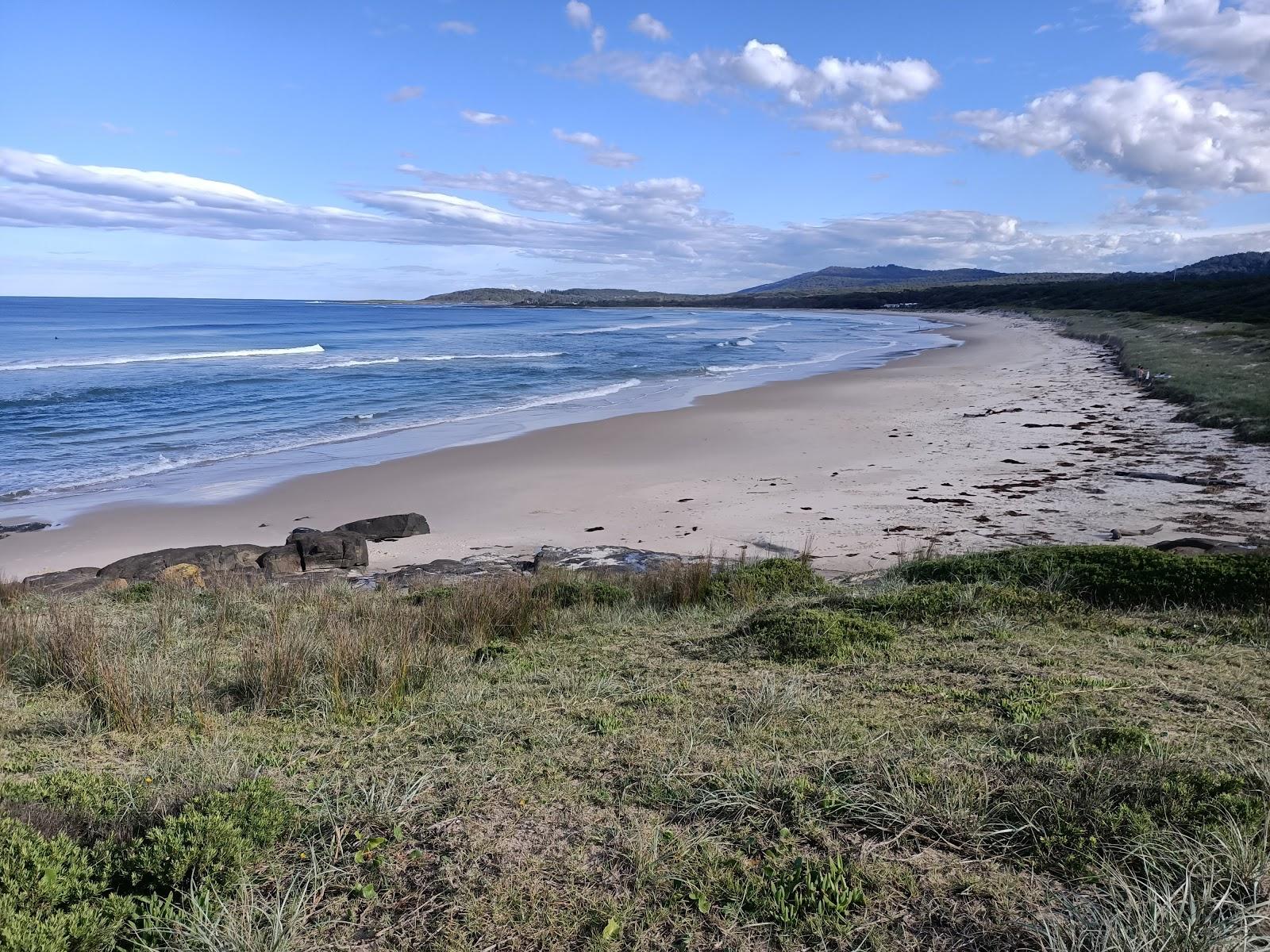 Sandee Murramarang Beach