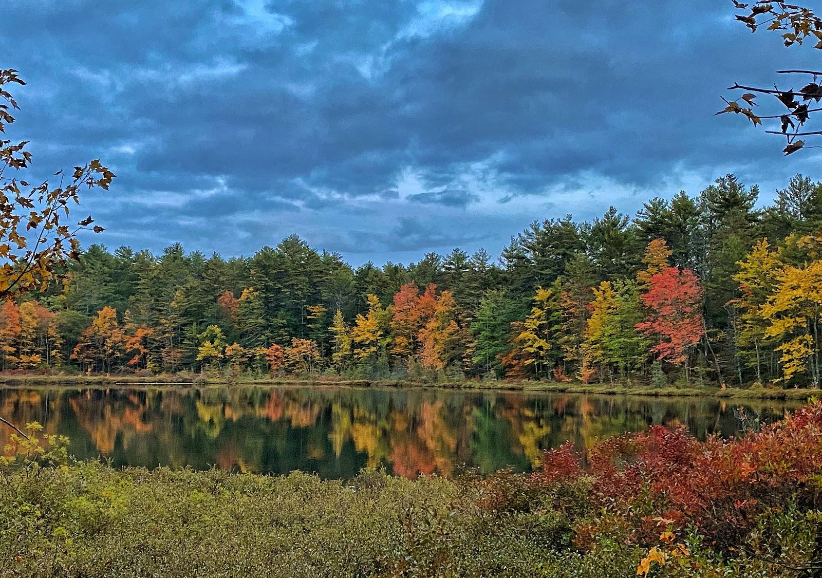 Sandee - Greenfield State Park