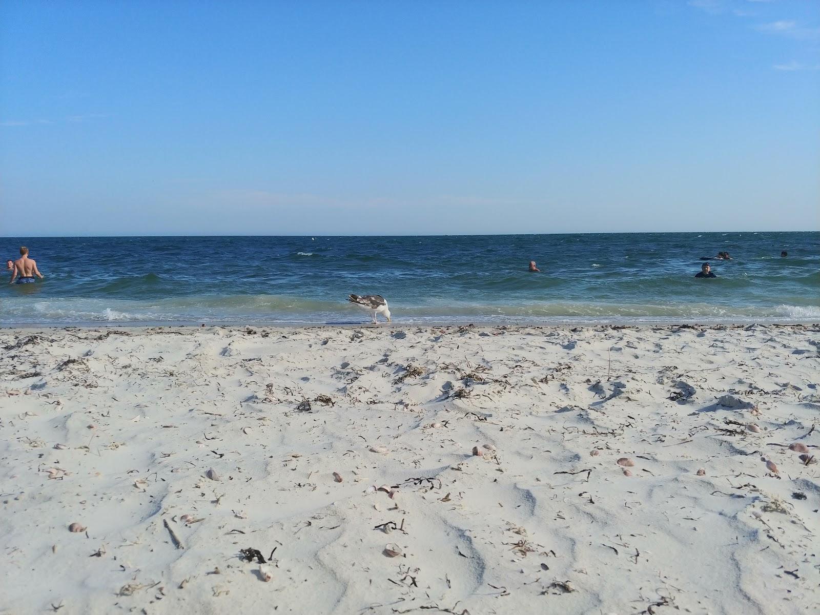 Sandee Seagull Beach