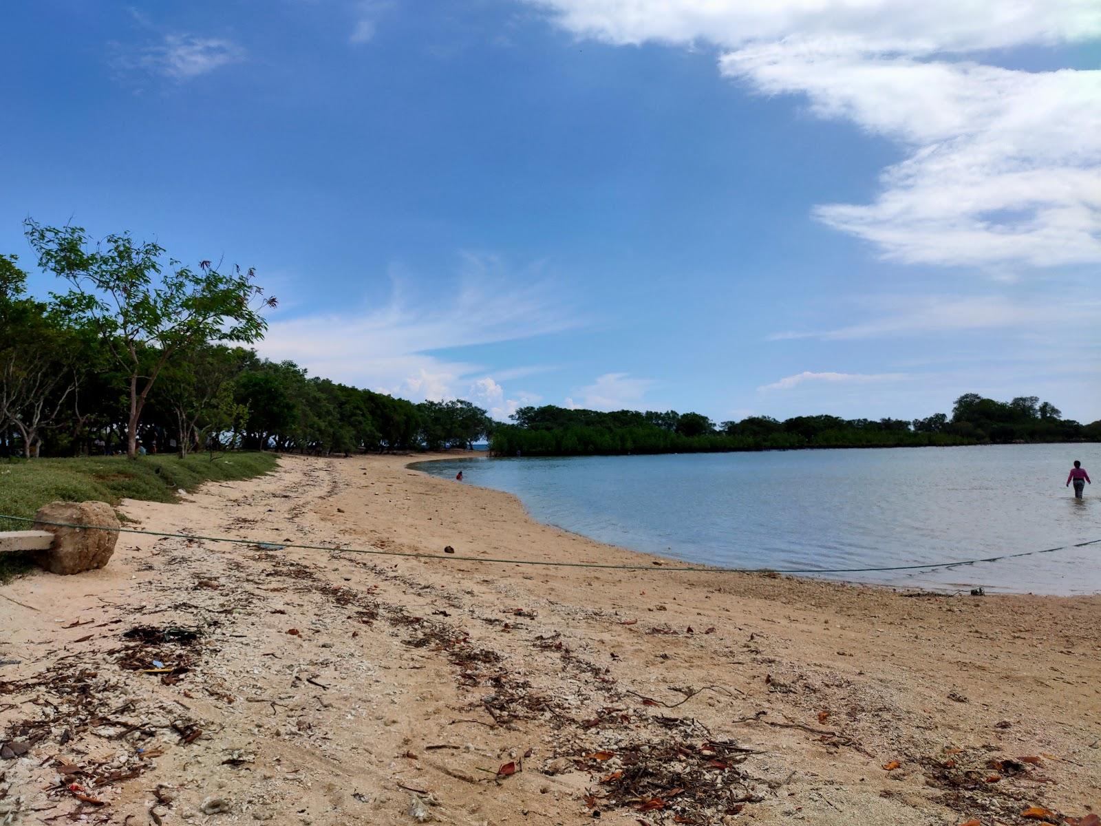 Sandee Turtle Islands Zamboanguita Photo