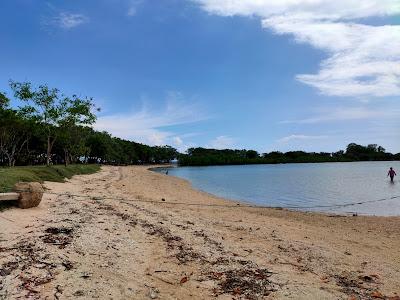 Sandee - Turtle Islands Zamboanguita