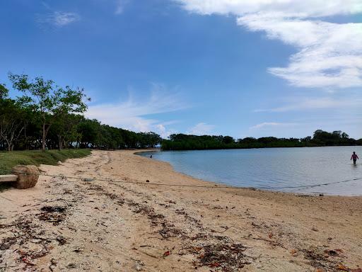 Sandee Turtle Islands Zamboanguita Photo