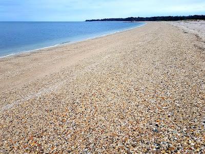 Sandee - Flax Pond Beach