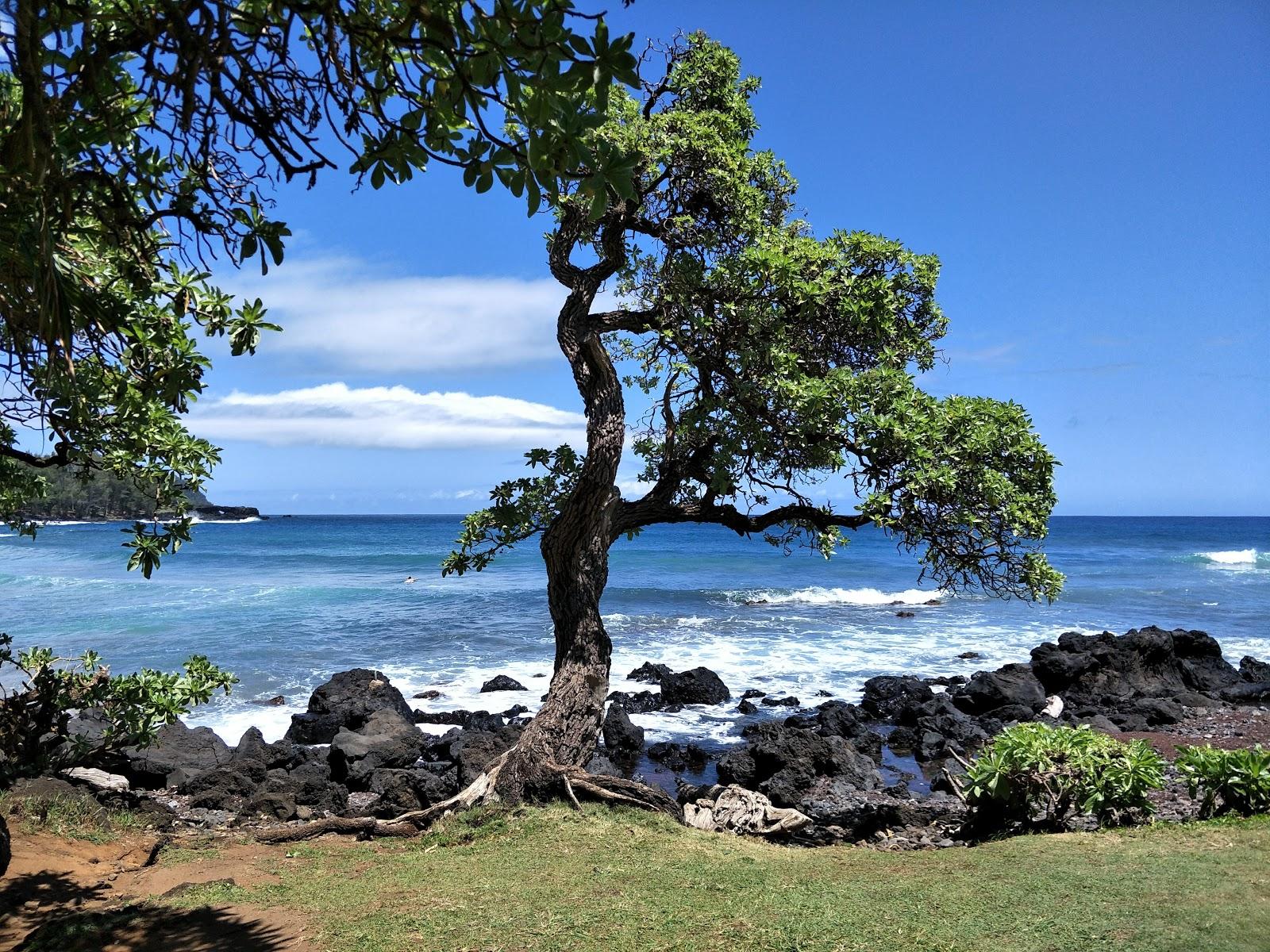 Sandee - Koki Beach Park