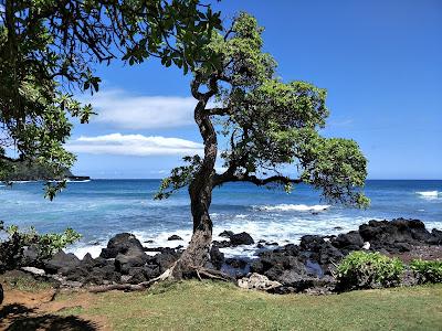 Sandee - Koki Beach Park