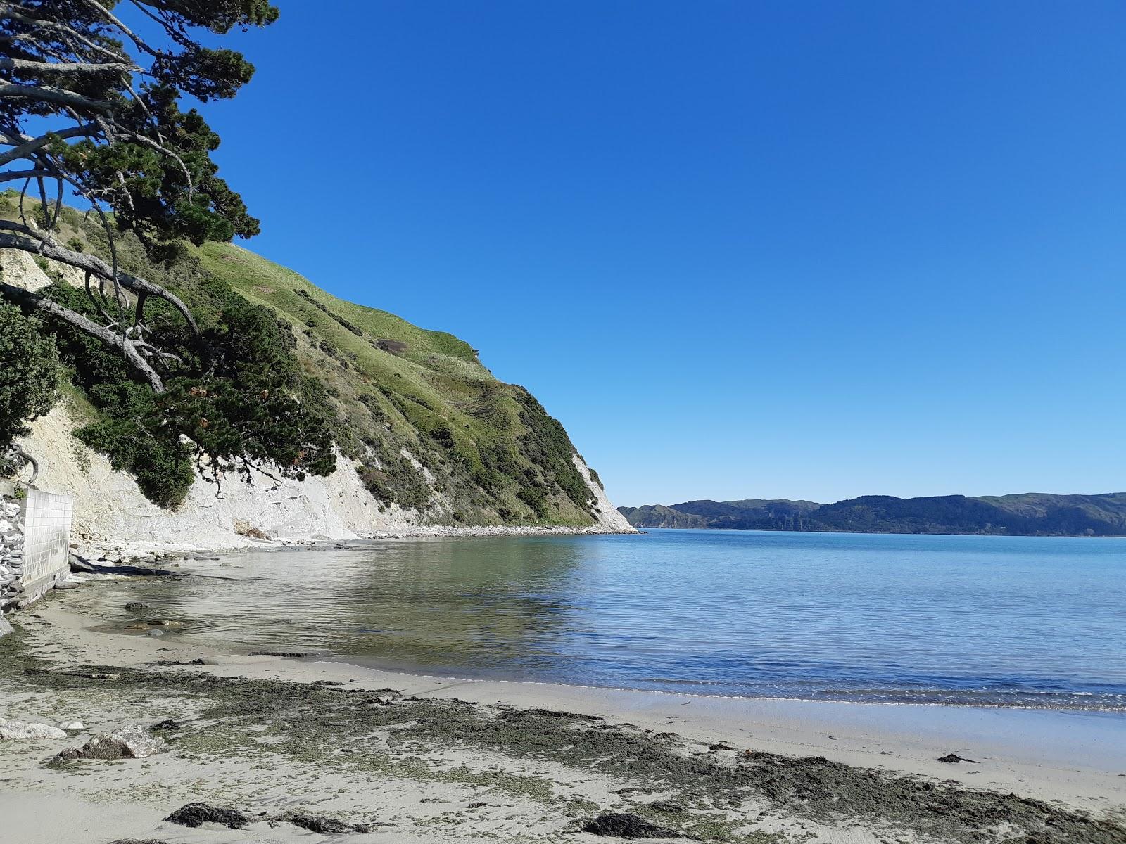 Sandee Awahang - Mahia Beach Photo