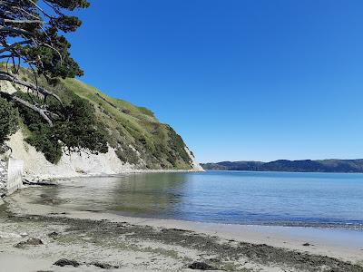 Sandee - Awahang - Mahia Beach