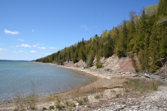 Sandee Malcolm Bluff Shores Nature Reserve