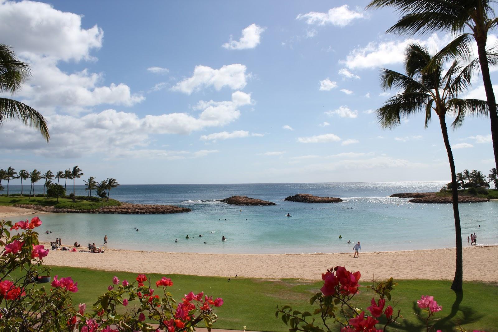 Sandee - Kohola Lagoon Beach