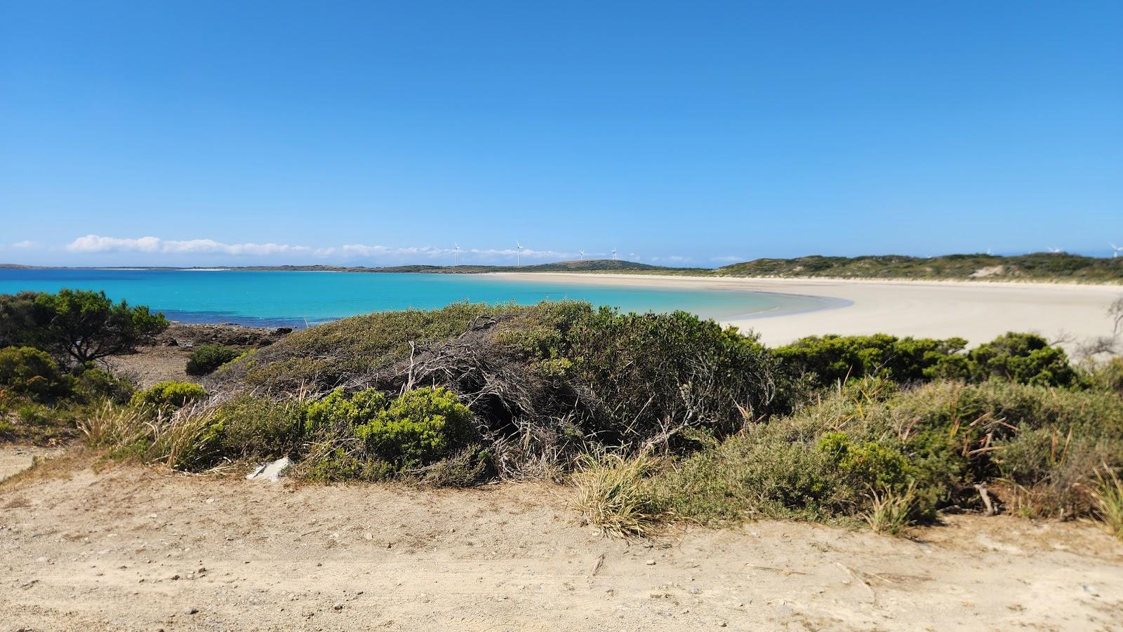 Sandee - HomePage / Rushy Lagoon