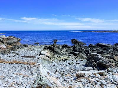 Sandee - Timber Point Trail